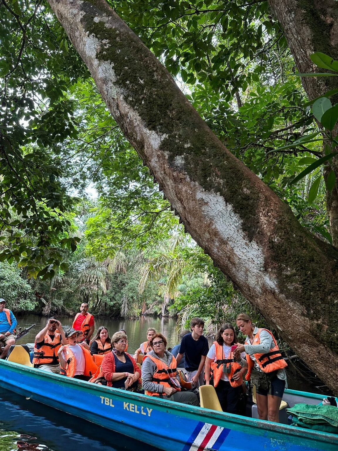 Groupe JP Andrea Tortuguero