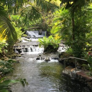Tabacon Eaux Thermales