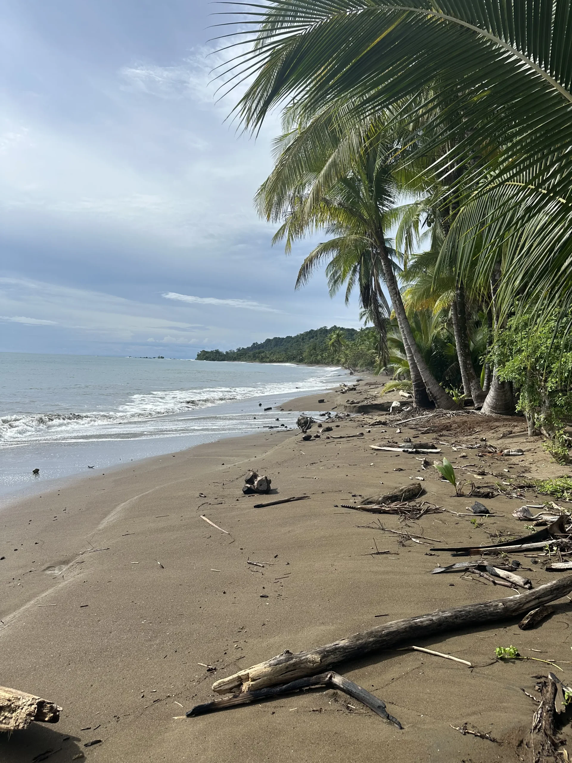 une plage du Costa Rica