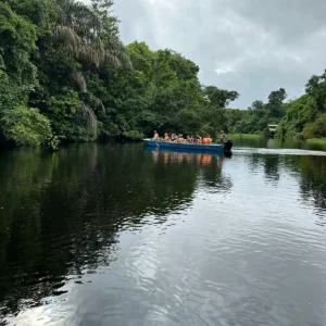 Tortugero en bateau Groupe Andrea