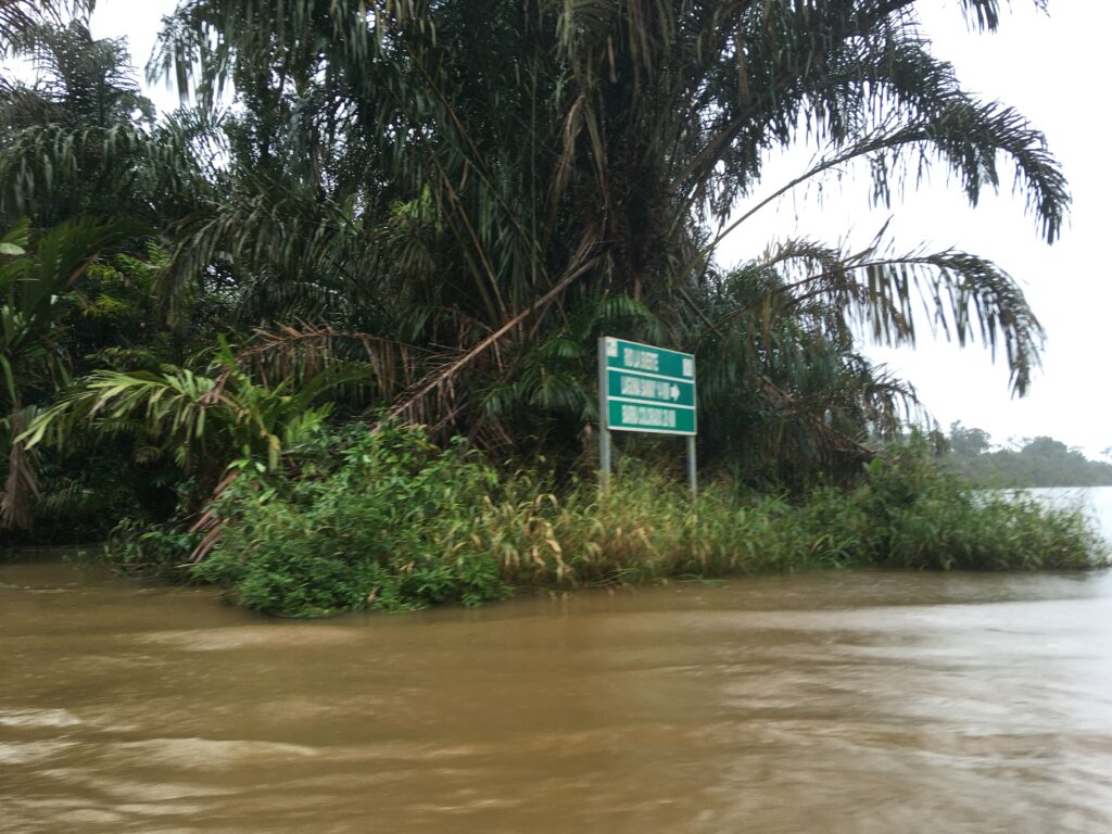 les canaux de Tortuguero
