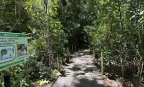 La liste des 30 parcs nationaux et zones protégées du Costa Rica – Un modèle mondial de conservation