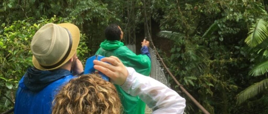 Visite guidée sur pont suspendu