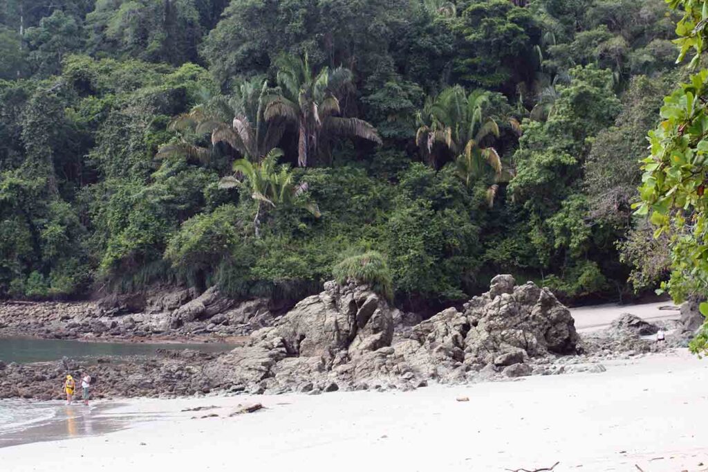 Parc Manuel Antonio plage et montagne