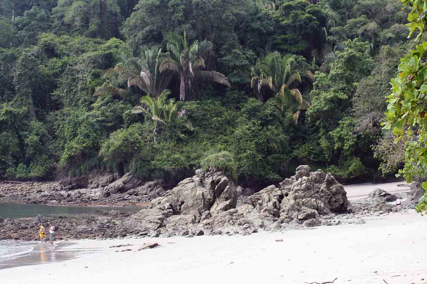 Parc Manuel Antonio plage et montagne